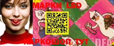 apvp Новодвинск