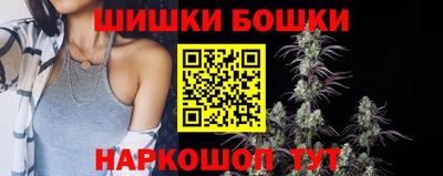 apvp Новодвинск