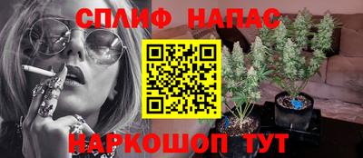 apvp Новодвинск