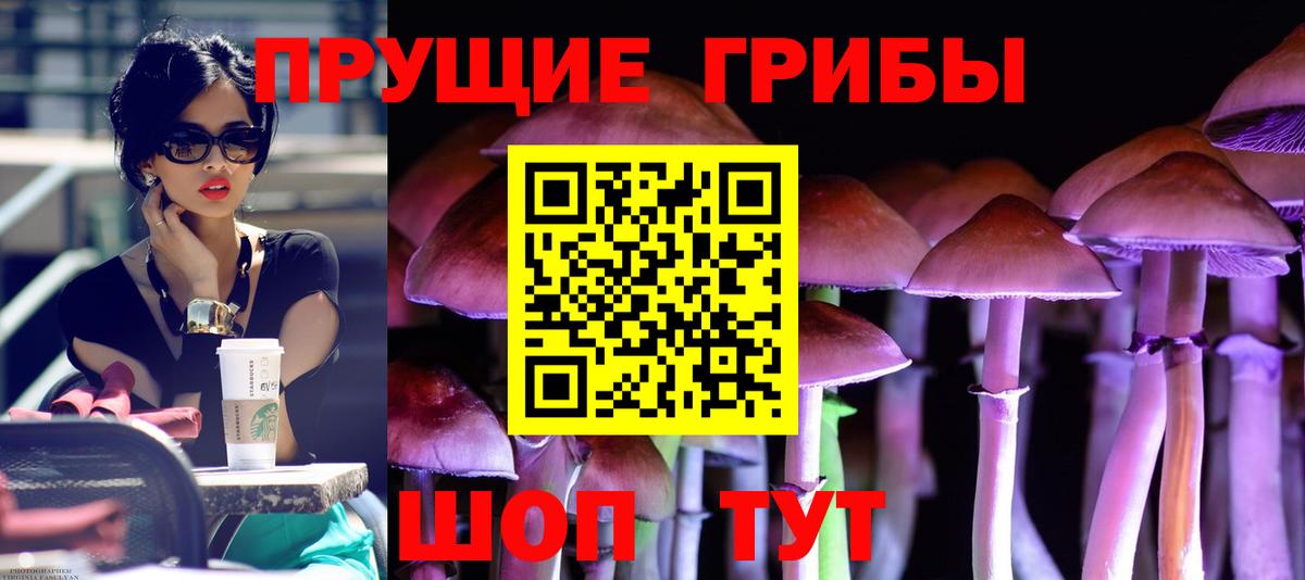 Галлюциногенные грибы мицелий Сосновоборск