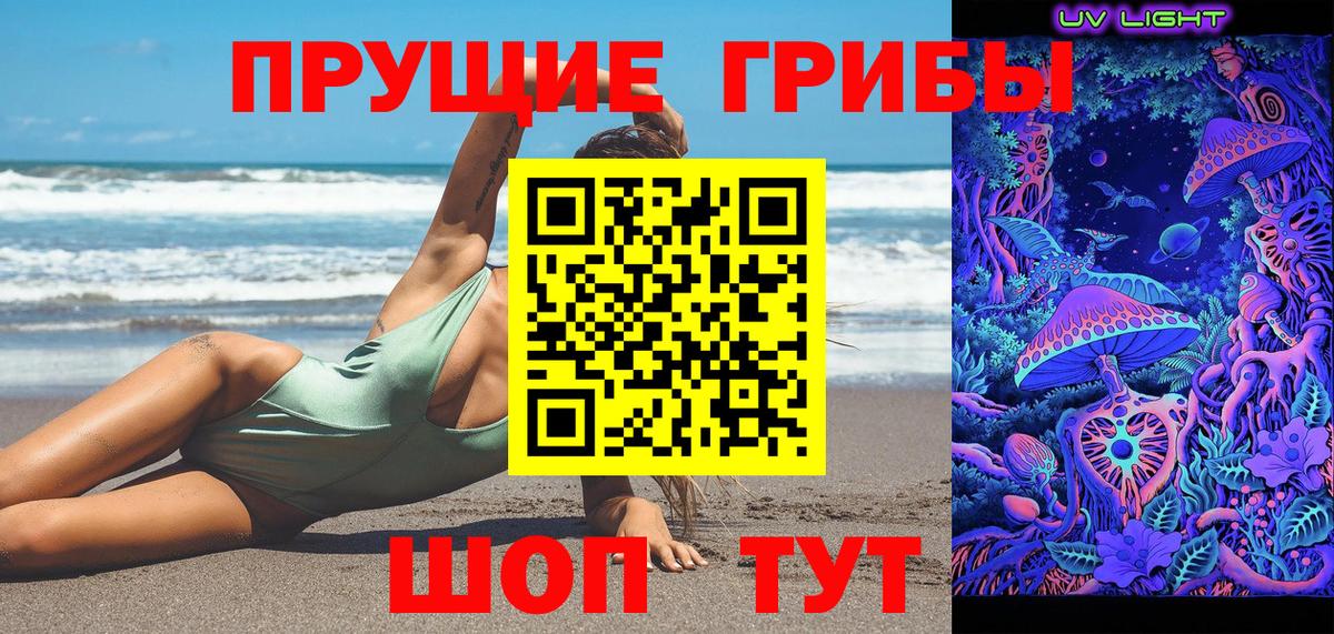 Галлюциногенные грибы Psilocybe  Вход с VPN  Сосновоборск 